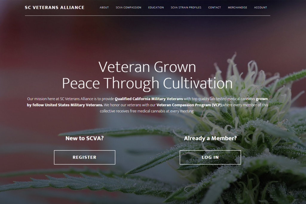 santa cruz veterans alliance website